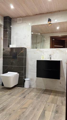 a bathroom with a sink and a toilet and a mirror at Świerkowa Chata in Bałtów