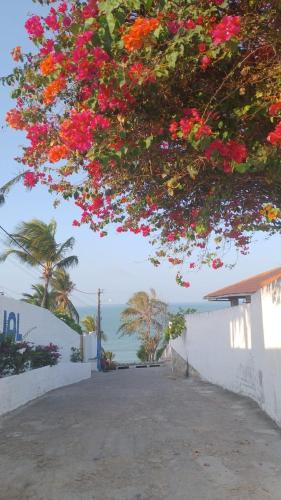 a tree with pink flowers hanging over a street at Vida no Paraíso Lagoinha in Tigre