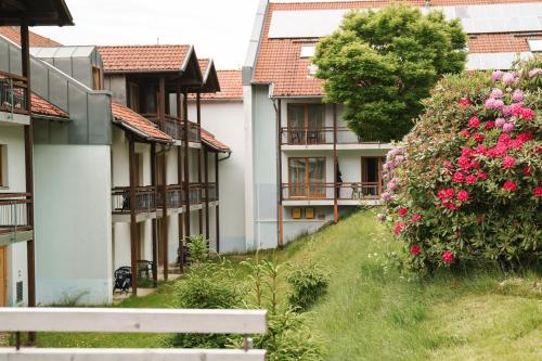 a row of houses with pink flowers on a hill at Hotel Sonnenhof - Tante ALMA`s Sommerfrische in Sonnen