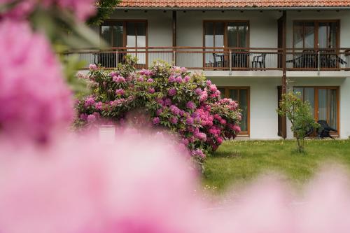 a house with pink flowers in front of it at Hotel Sonnenhof - Tante ALMA`s Sommerfrische in Sonnen