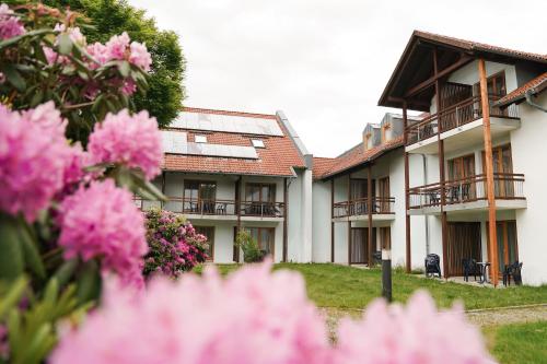 a building with pink flowers in front of it at Hotel Sonnenhof - Tante ALMA`s Sommerfrische in Sonnen