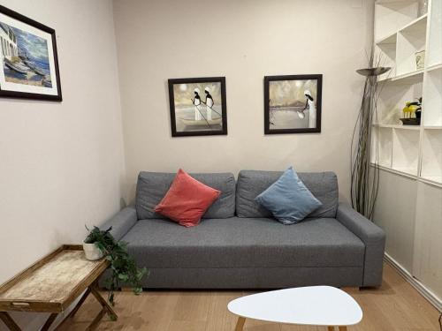 a living room with a gray couch with colorful pillows at La Cámara del Ayuntamiento de Oviedo in Oviedo