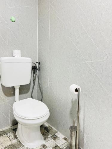 a bathroom with a toilet and a roll of toilet paper at Guest House Bosnian House in Sarajevo