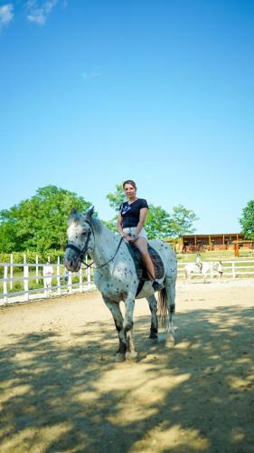 a woman riding a white horse on a dirt road at Agropensiune Lupu 