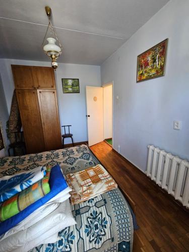 a bedroom with a bed with blue walls at Иссык-Куль, Аврора in Bulan Sogottuu