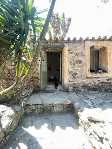 a black cat standing outside of a building at Circadia in Prongíon