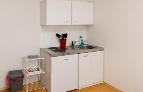 パッサウにあるLauLe Apartment Self Check inのシンクとカウンタートップのあるキッチン