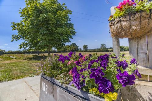Zahrada ubytování 1 Bed in Great Sampford oc-f32655