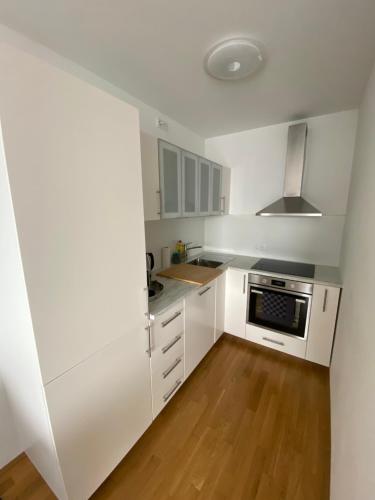 Una cocina o cocineta en Neubau Wohnung Stadlau