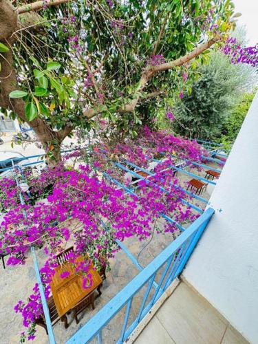 a table with purple flowers next to a tree at Thetis Pansiyon in Datca