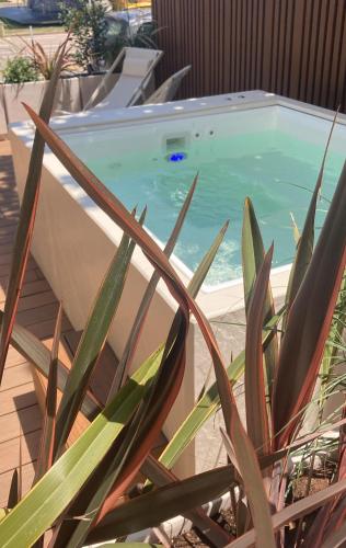 a plant in front of a swimming pool at Hotel LaMorosa in Rimini