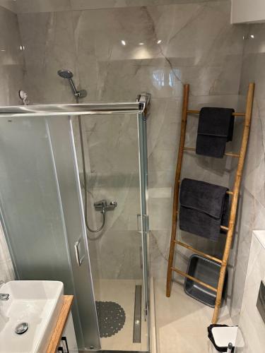 a shower with a glass door next to a sink at DOLCE VITA by DENTALUX 2 in Neoi Epivates