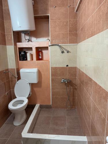 Koupelna v ubytování Petar Marstijepović