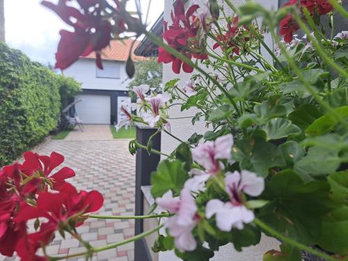 a bunch of flowers in front of a house at Apartman Pariz in Slavonski Brod
