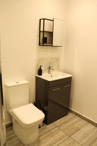 a bathroom with a toilet and a sink at Modern Studio With Free Parking in Rushden