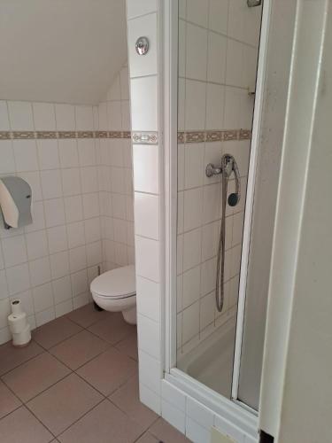 a bathroom with a toilet and a shower stall at Penzion Andy in Děčín