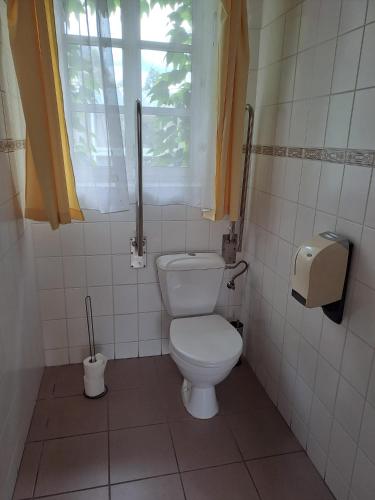 a small bathroom with a toilet and a window at Penzion Andy in Děčín