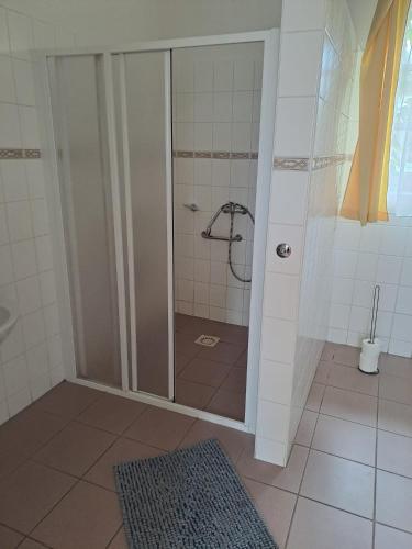 a shower with a glass door in a bathroom at Penzion Andy in Děčín