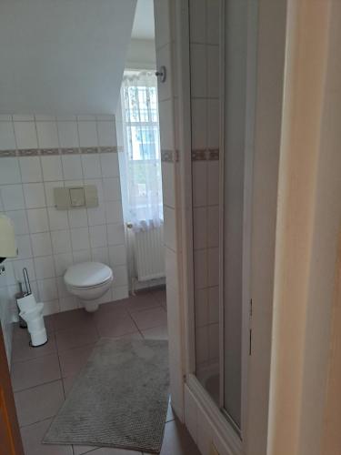 a bathroom with a toilet and a glass door at Penzion Andy in Děčín