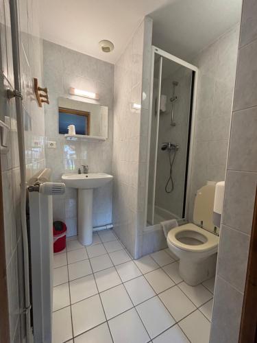 a bathroom with a toilet and a sink and a shower at Hôtel-Bar-Restaurant Les Dômes de Miage in Saint-Gervais-les-Bains