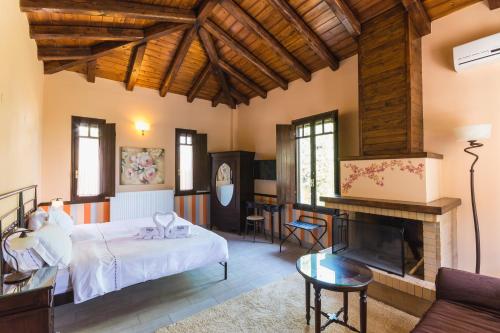 a bedroom with a bed and a fireplace at Ilaeira Mountain Resort in Toriza