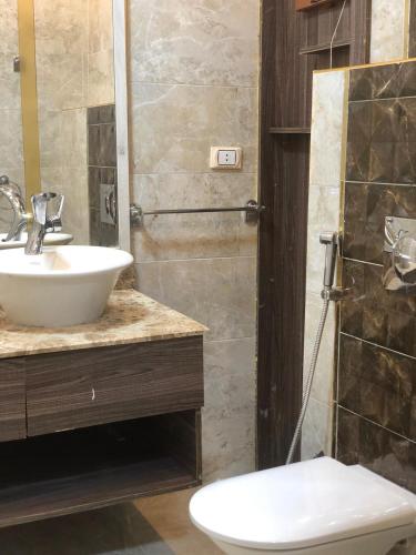 Bilik mandi di Cairo vida apartment