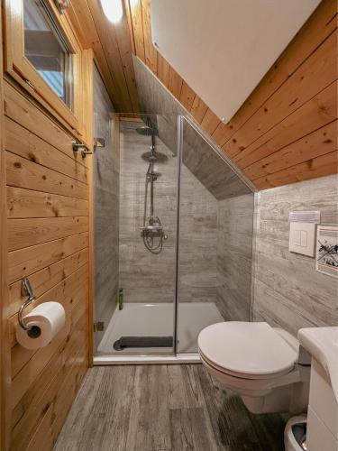 a bathroom with a shower and a toilet at APARTMA-SPA NATURA in Sveti Jurij ob Ščavnici