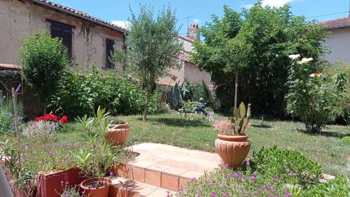 un jardin avec deux grands pots de plantes et de fleurs dans l'établissement St ybars chez Annick et Alain, à Saint-Ybars
