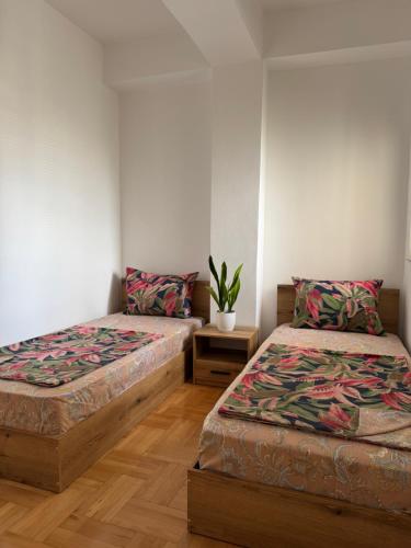 a room with two beds and a potted plant at Apartment CityHeart in Ohrid
