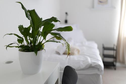 a potted plant sitting on a white table next to a bed at Hotel Sport Houštka 