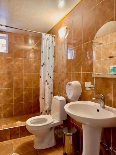 バクリアニにあるHotel Icebergのトイレと洗面台付きのバスルーム