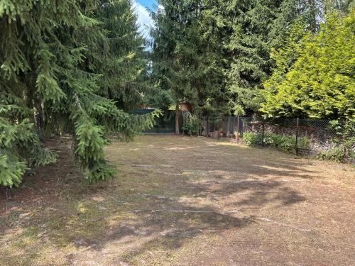 Solo tábořiště, kemp u vody, Nová Živohošť