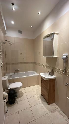 a bathroom with a tub and a toilet and a sink at Rynek Loft & Light Rooms in Poznań