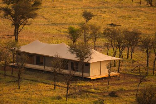 Fotografie z fotogalerie ubytování Wildlux Serengeti Camp v destinaci Serengeti