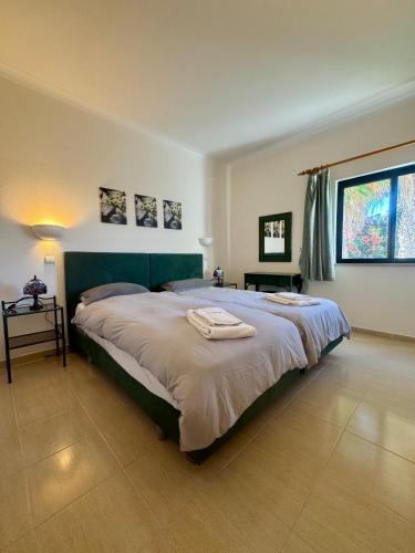 Luxury Modern Ocean View - Pool, Parking & Walk to Beach