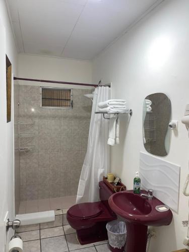 a bathroom with a purple sink and a shower at bamboo bed and breakfast in San Pedro Sula