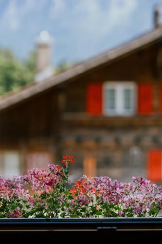 a group of flowers in front of a building at Mountain View near Brienz - free parking in Kienholz