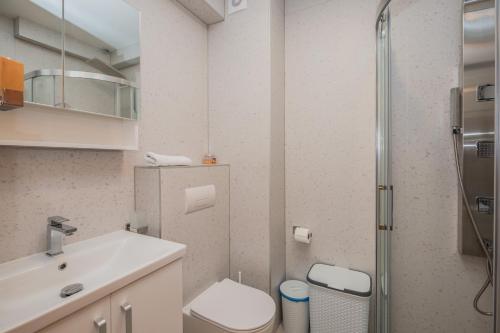 AP MIRKO - 3 bedrooms apartment in city center