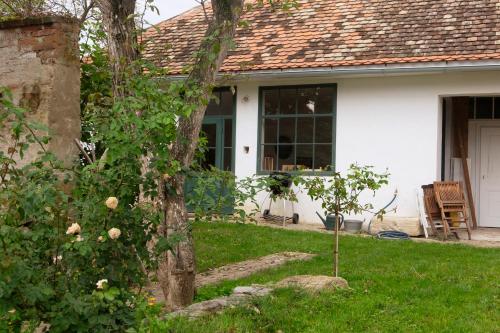 a house with a tree in the yard at dasFritsch-Historisches Weinbauernhaus im Grünen in Klein-Reinprechtsdorf
