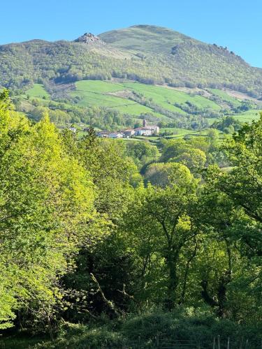 a view of a valley with trees and a house on a hill at Apartamento Larrazu II Agroturismo Baztán in Arráyoz