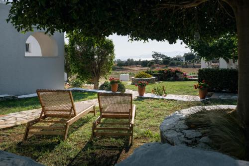 two chairs sitting under a tree in a yard at Scala Apartments in Kastraki Naxou