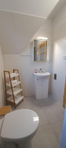 a white bathroom with a sink and a mirror at Dom U Eskulapa in Lutowiska