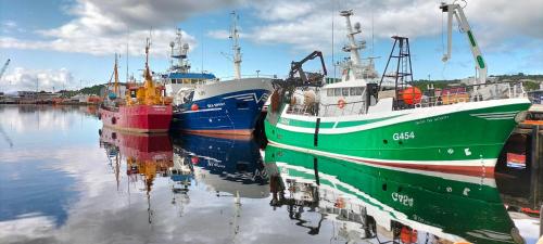 three boats are docked in the water at Blue Moon Self Catering Accommodation in Dunkineely