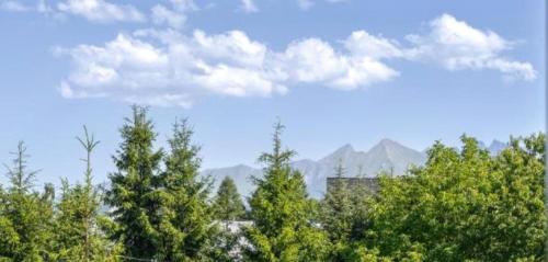 a group of trees with mountains in the background at Apartament INCOGNITO PREMIUM & SPA in Białka Tatrzanska