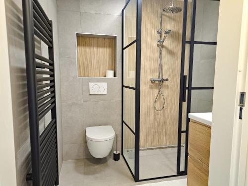 a bathroom with a shower and a toilet and a sink at Vakantiehuis Domburg DO60 in Domburg