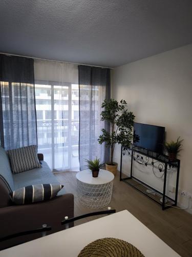 Sunny Cannes Beach Residence