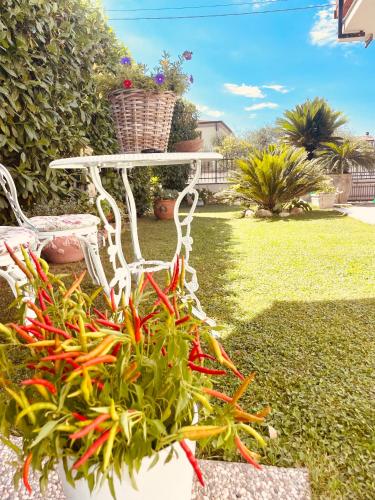 a white chair with a potted plant in a yard at Ca del Gno in Luni