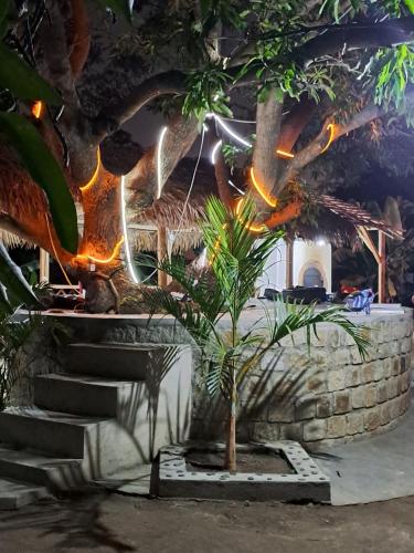 Un jardín fuera de Mango Eden Hotel