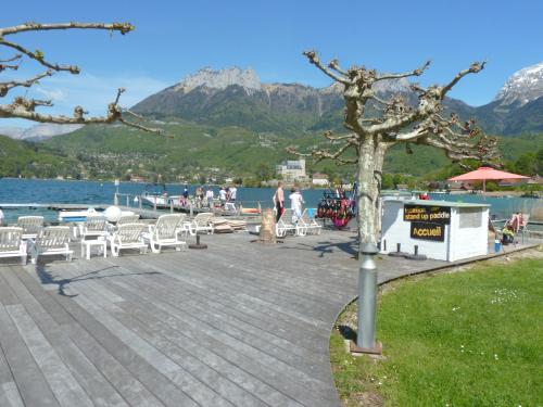a tree sitting on a boardwalk next to a body of water at la baie des voiles ,vue lac d'Annecy ,plage privée in Duingt