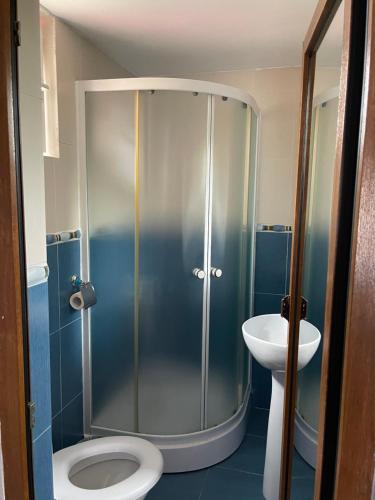 a bathroom with a shower with a toilet and a sink at Pensiunea Delia in Izlaz